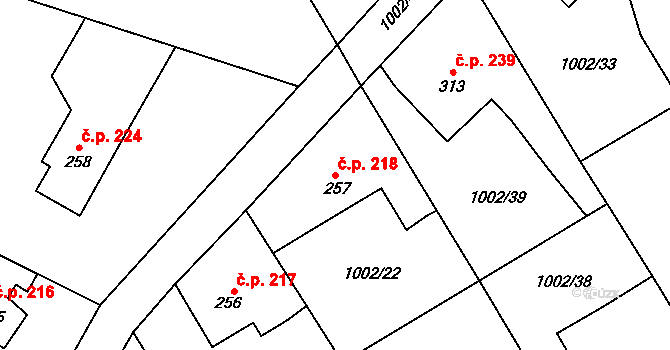 Velká Ves 218, Broumov na parcele st. 257 v KÚ Velká Ves u Broumova, Katastrální mapa