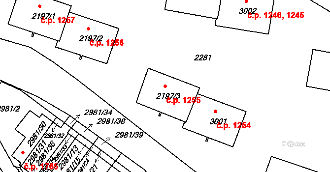 Braník 1255, Praha na parcele st. 2197/3 v KÚ Braník, Katastrální mapa