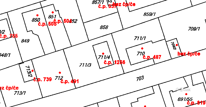 Svinov 1256, Ostrava na parcele st. 711/4 v KÚ Svinov, Katastrální mapa