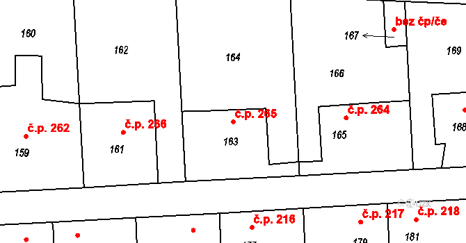 Rudice 265 na parcele st. 163 v KÚ Rudice u Blanska, Katastrální mapa