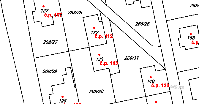 Kolšov 113 na parcele st. 133 v KÚ Kolšov, Katastrální mapa