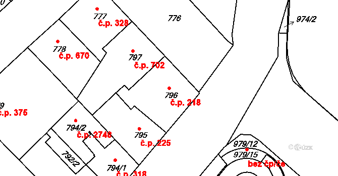 Žižkov 218, Praha na parcele st. 796 v KÚ Žižkov, Katastrální mapa