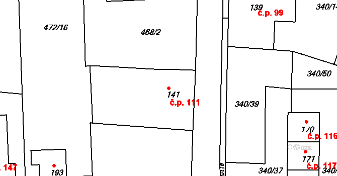 Žernov 111 na parcele st. 141 v KÚ Žernov u České Skalice, Katastrální mapa