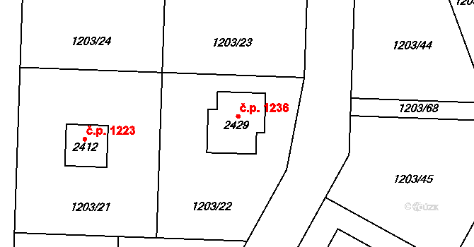 Dobřany 1236 na parcele st. 2429 v KÚ Dobřany, Katastrální mapa