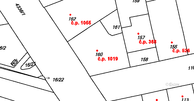 Žižkov 1019, Praha na parcele st. 160 v KÚ Žižkov, Katastrální mapa
