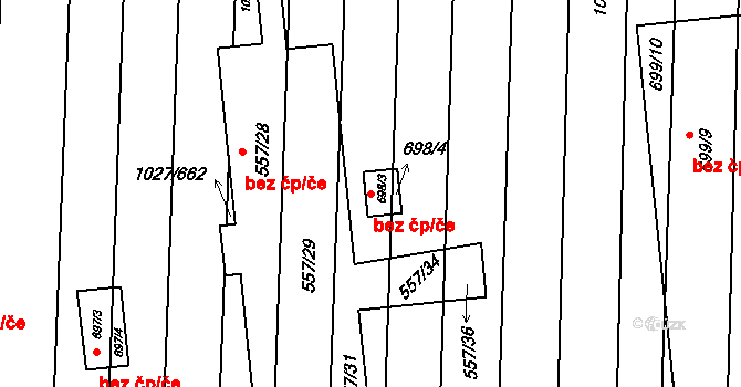 Šakvice 46641289 na parcele st. 698/3 v KÚ Šakvice, Katastrální mapa