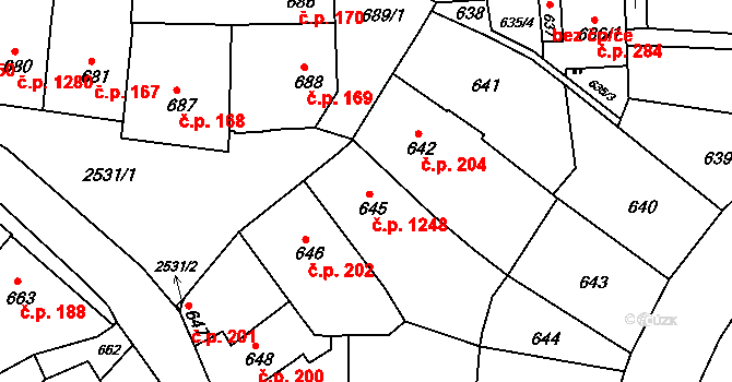 Třeboň II 1248, Třeboň na parcele st. 645 v KÚ Třeboň, Katastrální mapa