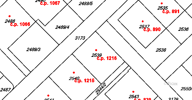 Nusle 1216, Praha na parcele st. 2539 v KÚ Nusle, Katastrální mapa