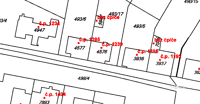 Horka-Domky 1239, Třebíč na parcele st. 4576 v KÚ Třebíč, Katastrální mapa