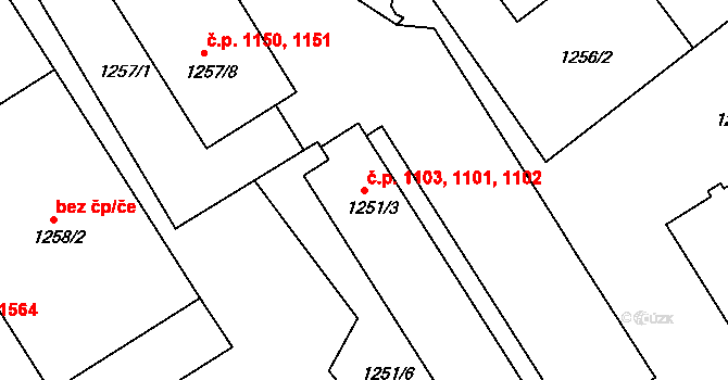 Rychnov nad Kněžnou 1101,1102,1103 na parcele st. 1251/3 v KÚ Rychnov nad Kněžnou, Katastrální mapa