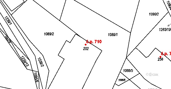 Bakov nad Jizerou 710 na parcele st. 202 v KÚ Bakov nad Jizerou, Katastrální mapa