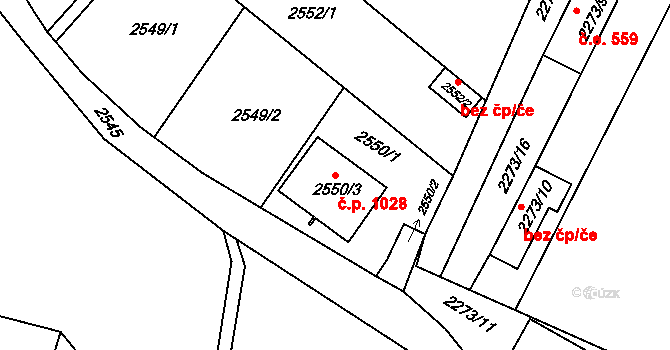 Rakšice 1028, Moravský Krumlov na parcele st. 2550/3 v KÚ Moravský Krumlov, Katastrální mapa