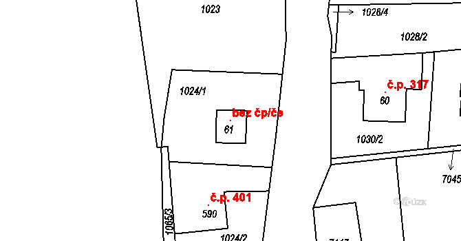 Bělá pod Pradědem 104538333 na parcele st. 61 v KÚ Domašov u Jeseníka, Katastrální mapa