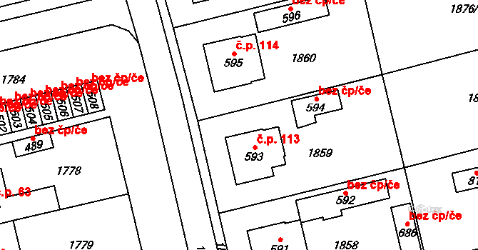 Dolní Kralovice 113 na parcele st. 593 v KÚ Dolní Kralovice, Katastrální mapa