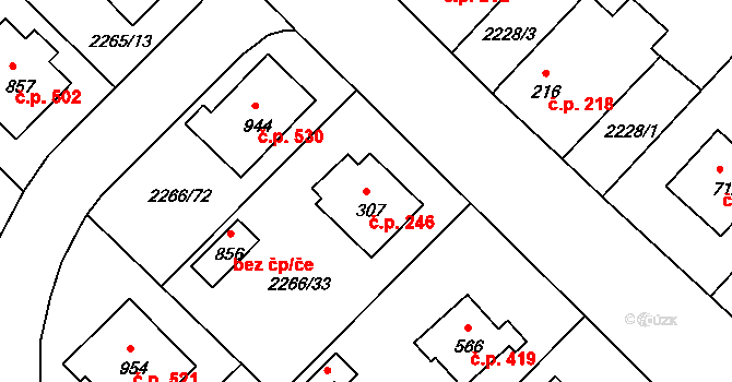 Borovany 246 na parcele st. 307 v KÚ Borovany, Katastrální mapa