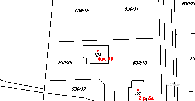 Lážovice 55 na parcele st. 124 v KÚ Lážovice, Katastrální mapa