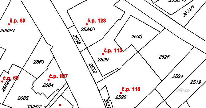 Sviadnov 113 na parcele st. 2529 v KÚ Sviadnov, Katastrální mapa