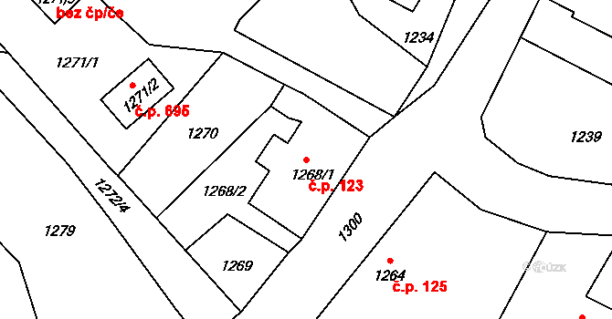 Rapotín 123 na parcele st. 1268/1 v KÚ Rapotín, Katastrální mapa