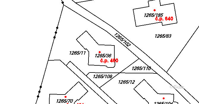 Pokratice 460, Litoměřice na parcele st. 1265/36 v KÚ Pokratice, Katastrální mapa