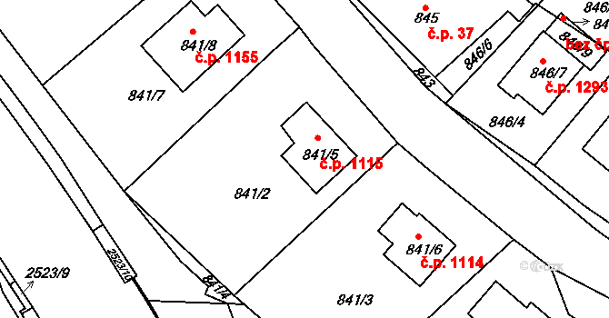 Jeseník 1115 na parcele st. 841/5 v KÚ Jeseník, Katastrální mapa
