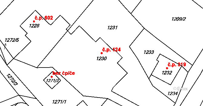 Rapotín 124 na parcele st. 1230/1 v KÚ Rapotín, Katastrální mapa