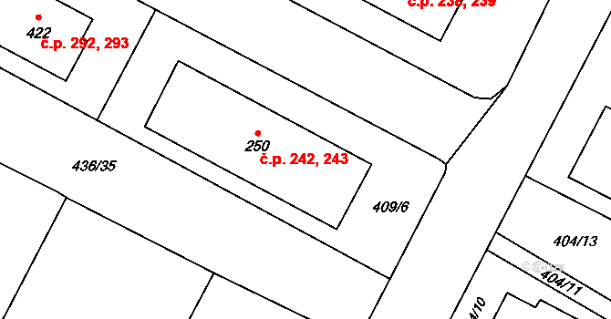 Opatovice nad Labem 242,243 na parcele st. 250 v KÚ Opatovice nad Labem, Katastrální mapa