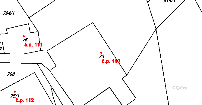 Dlouhá Loučka 110 na parcele st. 73 v KÚ Dlouhá Loučka, Katastrální mapa