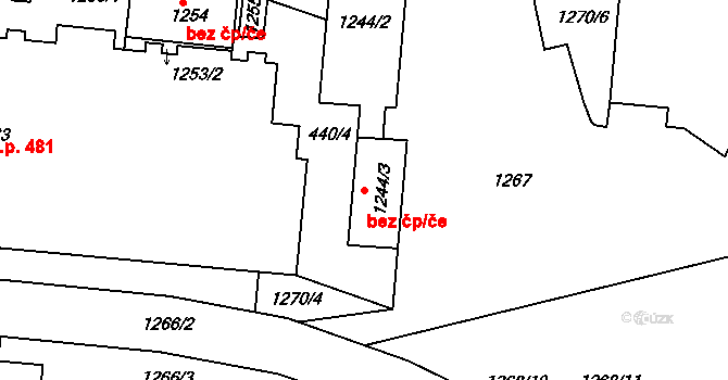 Brno 49302361 na parcele st. 1244/3 v KÚ Trnitá, Katastrální mapa