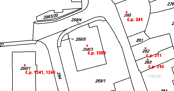 Rychnov nad Kněžnou 1309 na parcele st. 258/3 v KÚ Rychnov nad Kněžnou, Katastrální mapa