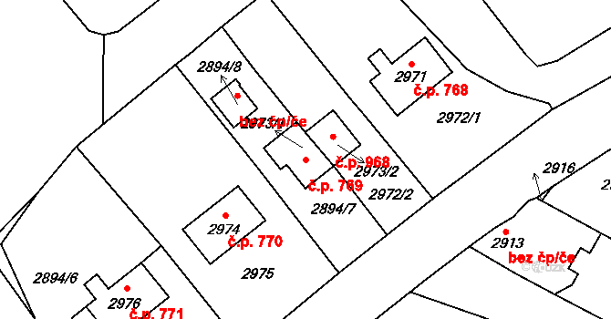 Protivín 769 na parcele st. 2973/1 v KÚ Protivín, Katastrální mapa