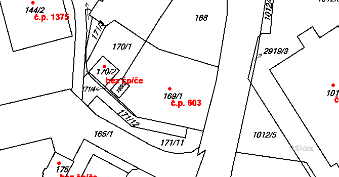 Rychnov nad Kněžnou 603 na parcele st. 169/1 v KÚ Rychnov nad Kněžnou, Katastrální mapa