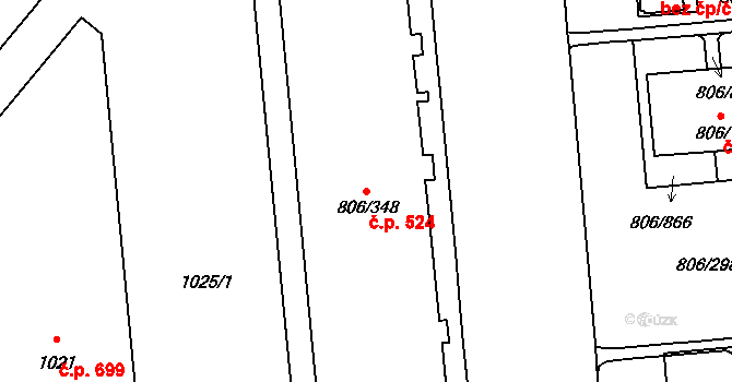 Malešice 524, Praha na parcele st. 806/348 v KÚ Malešice, Katastrální mapa