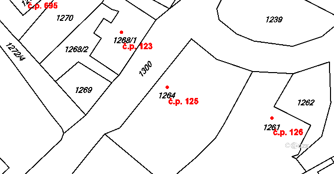 Rapotín 125 na parcele st. 1264 v KÚ Rapotín, Katastrální mapa
