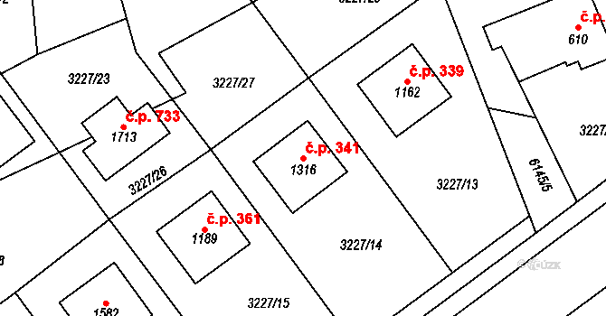 Halenkov 341 na parcele st. 1316 v KÚ Halenkov, Katastrální mapa