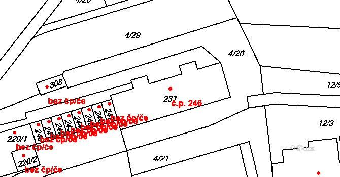 Janské Lázně 246 na parcele st. 231 v KÚ Janské Lázně, Katastrální mapa