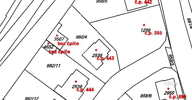 Týnské Předměstí 443, Domažlice na parcele st. 2538 v KÚ Domažlice, Katastrální mapa