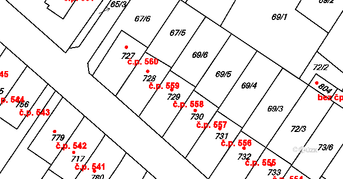 Dolní Bousov 558 na parcele st. 729 v KÚ Dolní Bousov, Katastrální mapa