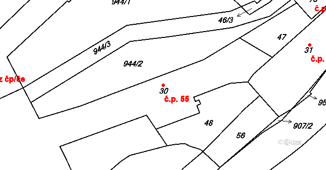 Slavíkovice 55, Černíkov na parcele st. 30 v KÚ Slavíkovice, Katastrální mapa