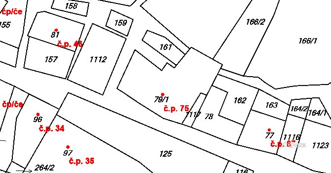 Zvole 75 na parcele st. 79/1 v KÚ Zvole nad Pernštejnem, Katastrální mapa