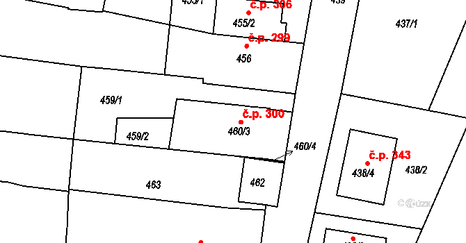 Prace 300 na parcele st. 460/3 v KÚ Prace, Katastrální mapa
