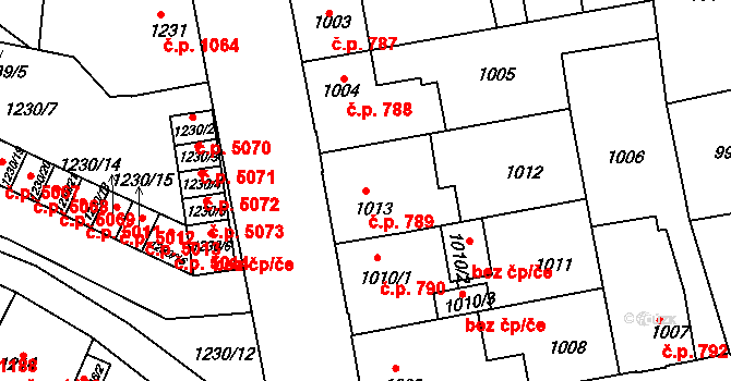 Louny 789 na parcele st. 1013 v KÚ Louny, Katastrální mapa