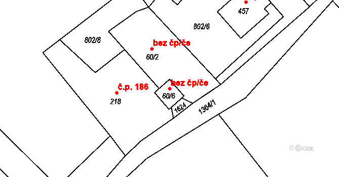 Třinec 42679397 na parcele st. 60/6 v KÚ Nebory, Katastrální mapa