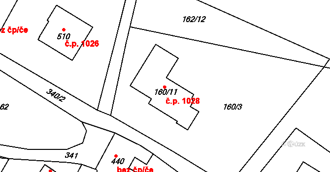 Dvořiště 1028, Bystřice nad Pernštejnem na parcele st. 160/11 v KÚ Dvořiště u Bystřice nad Pernštejnem, Katastrální mapa