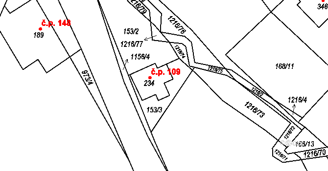 Těchonín 109 na parcele st. 234 v KÚ Těchonín, Katastrální mapa
