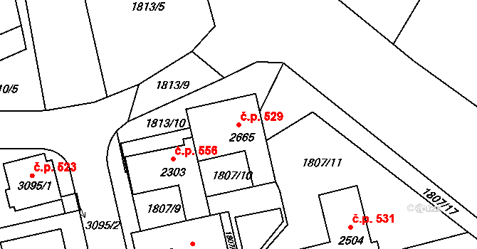 Malá Strana 529, Týn nad Vltavou na parcele st. 2665 v KÚ Týn nad Vltavou, Katastrální mapa