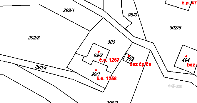 Janov nad Nisou 1257 na parcele st. 99/2 v KÚ Janov nad Nisou, Katastrální mapa