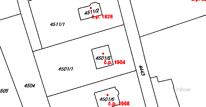 Petřvald 1904 na parcele st. 4501/5 v KÚ Petřvald u Karviné, Katastrální mapa