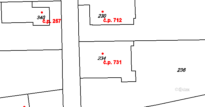 Stonava 731 na parcele st. 234 v KÚ Stonava, Katastrální mapa