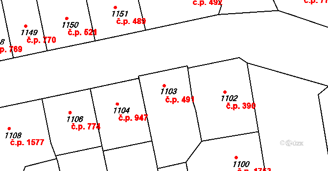 Žižkov 491, Praha na parcele st. 1103 v KÚ Žižkov, Katastrální mapa