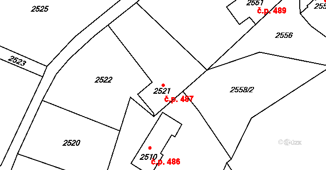 Žamberk 487 na parcele st. 2521 v KÚ Žamberk, Katastrální mapa